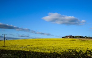 ISO 200, 24mm, 1/3200 sec, f/4